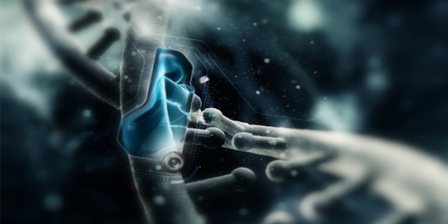 Memoria del DNA